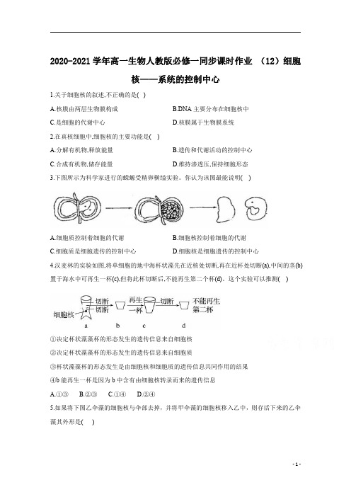 2021高一生物人教版必修一同步 (12)细胞核__系统的控制中心 含解析