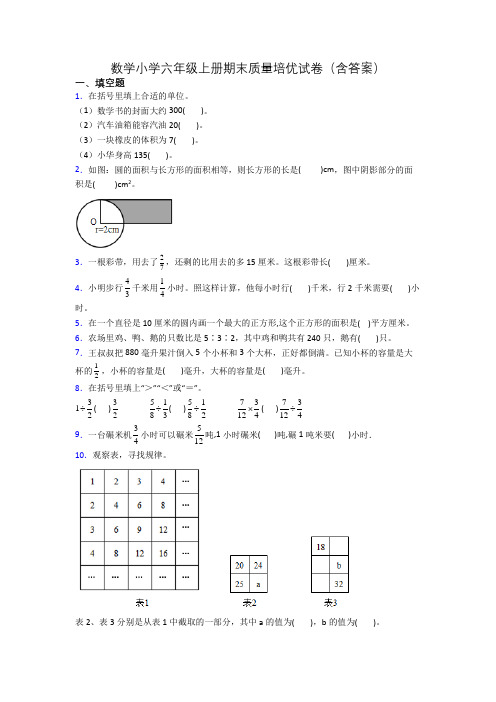 数学小学六年级上册期末质量培优试卷(含答案)