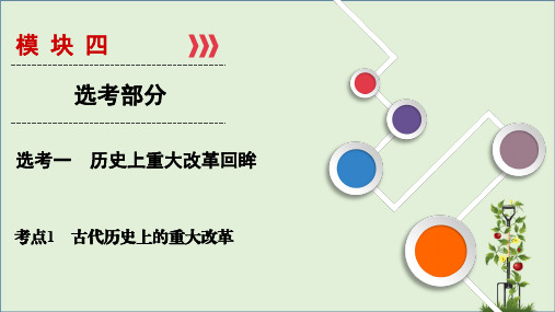 「精品」高考总复习历史(人民版)课件：选考1考点1 古代历史上的重大改革-精品资料