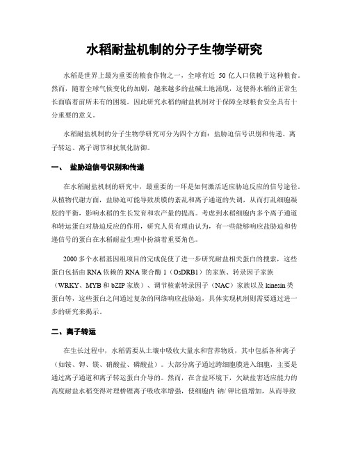 水稻耐盐机制的分子生物学研究