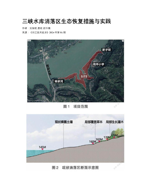 三峡水库消落区生态恢复措施与实践