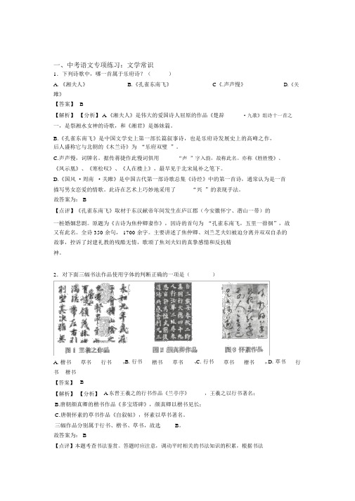 中考语文文学常识练习题及解析.docx