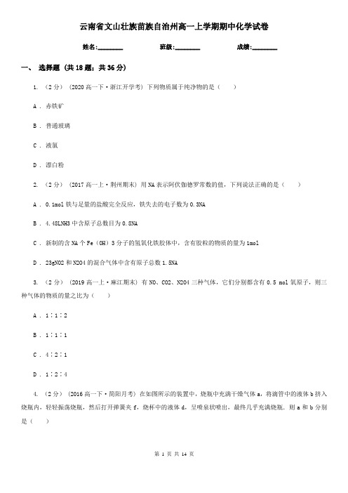 云南省文山壮族苗族自治州高一上学期期中化学试卷