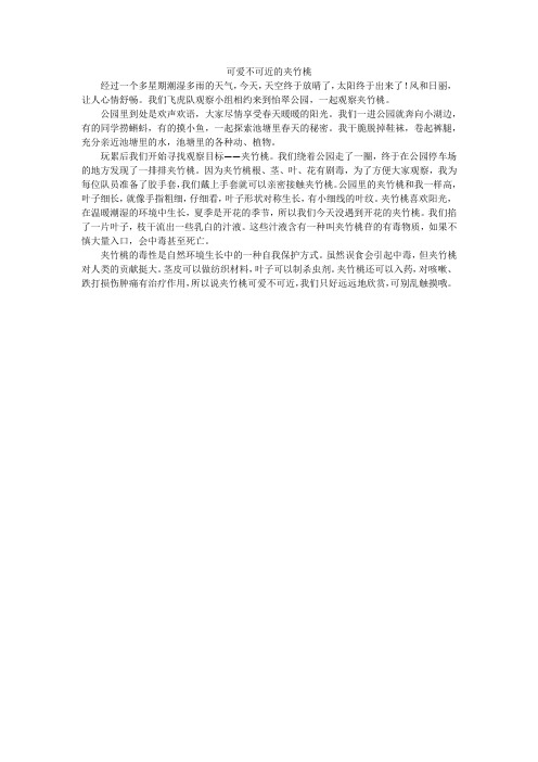 可爱不可近的夹竹桃_小学作文