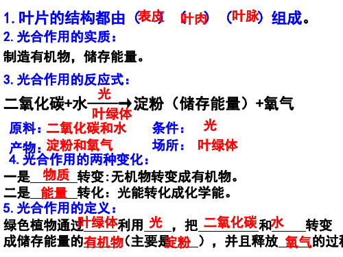 5.2呼吸作用