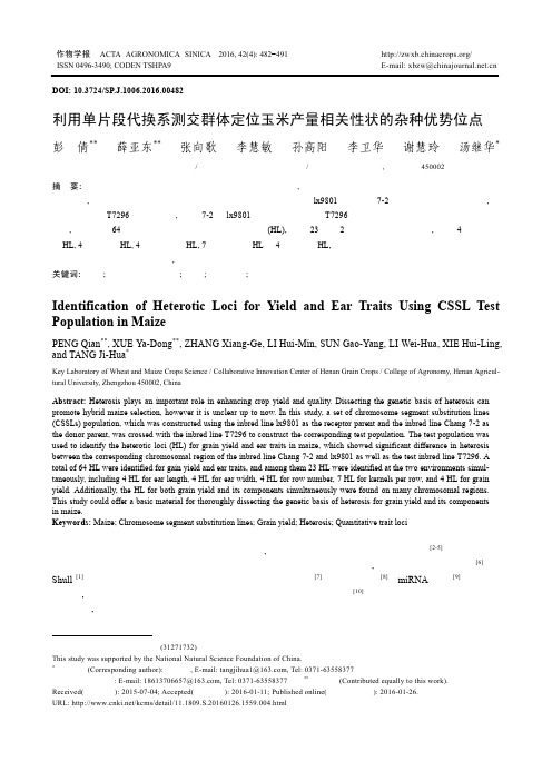 利用单片段代换系测交群体定位玉米产量相关性状的杂种优势位点