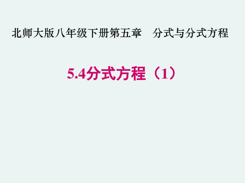 分式方程-北师大版八年级数学下册课件