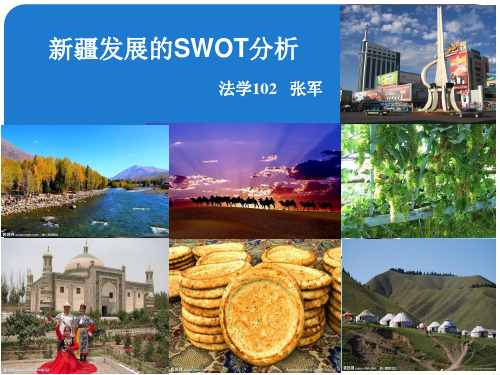 新疆发展的SWOT分析