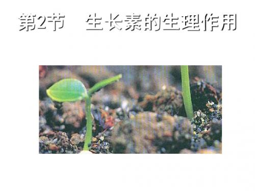 生物必修Ⅲ人教新课标3.2生长素的生理作用精品课件(共19张)