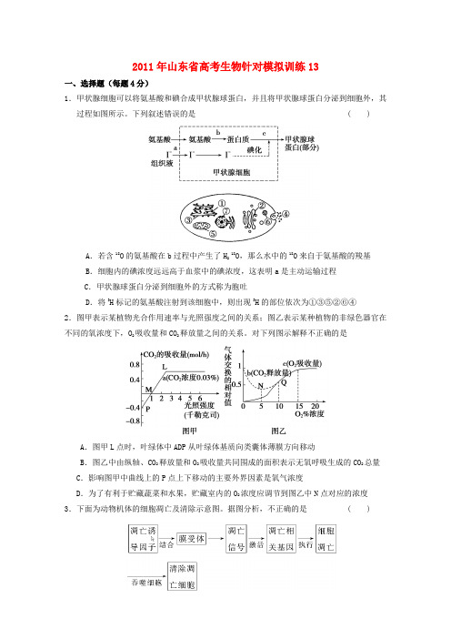 山东省高考生物 针对模拟训练13