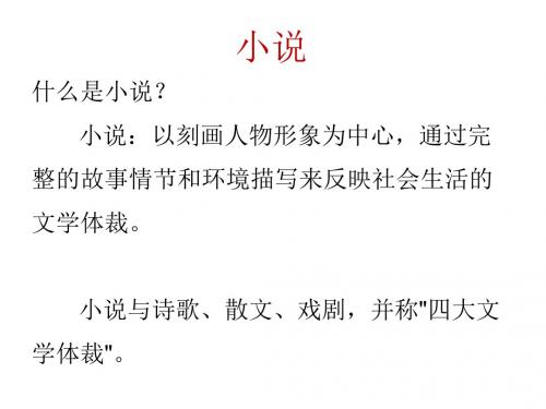 小说介绍
