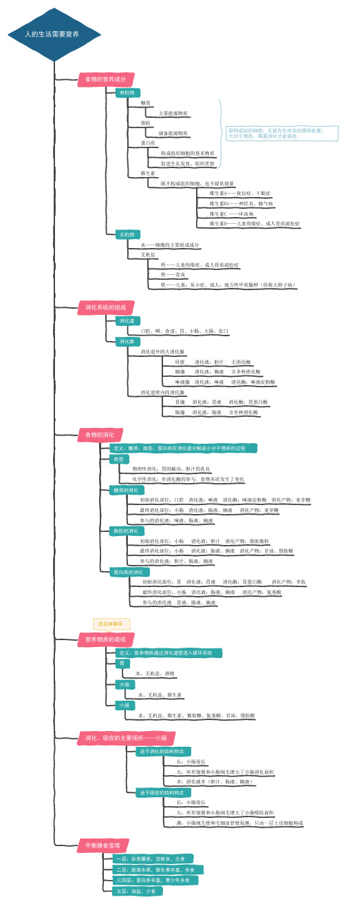 思维导图七年级下册第一章：人的生活需要营养(消化系统)