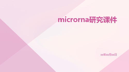 microRNA研究课件