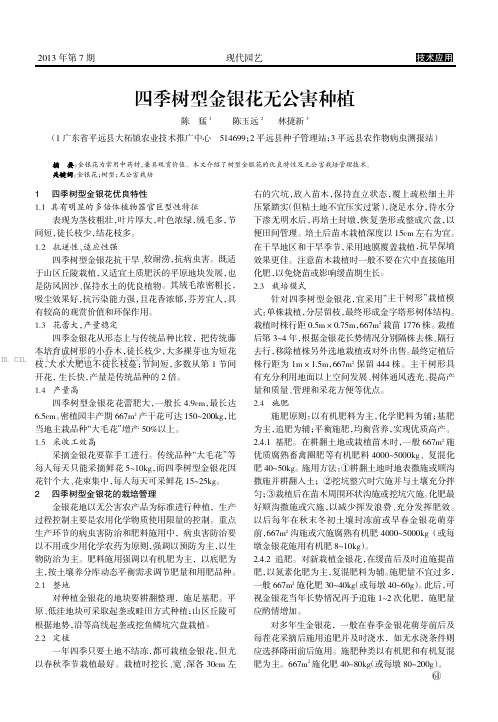 四季树型金银花无公害种植 