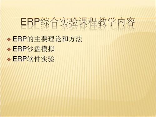 2019-2020年人教统编1ERP系统的发展历程课件