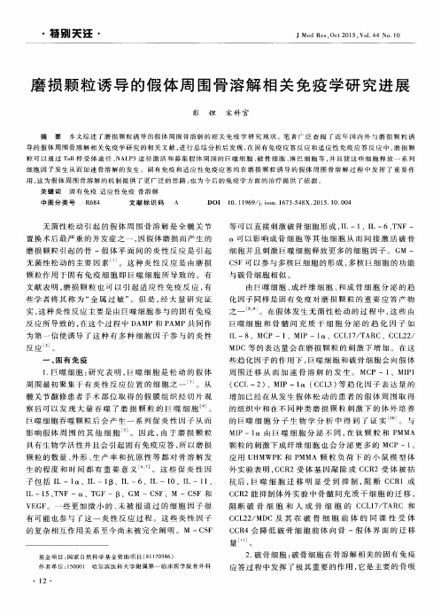 磨损颗粒诱导的假体周围骨溶解相关免疫学研究进展