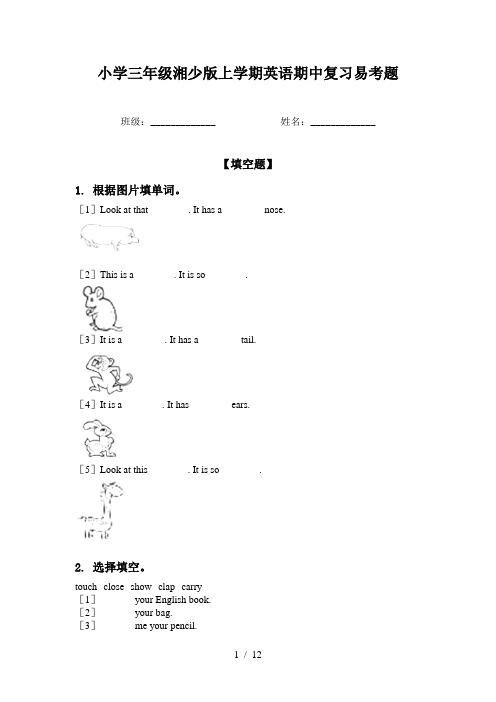 小学三年级湘少版上学期英语期中复习易考题