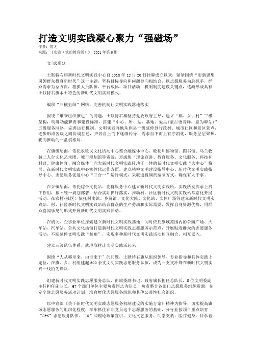 打造文明实践凝心聚力“强磁场”