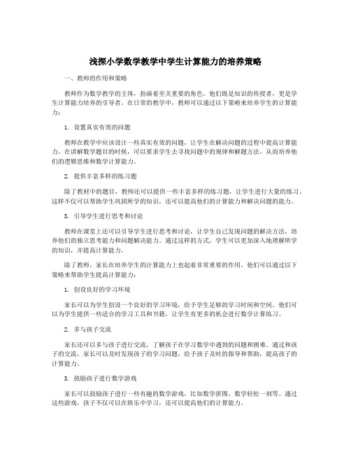 浅探小学数学教学中学生计算能力的培养策略