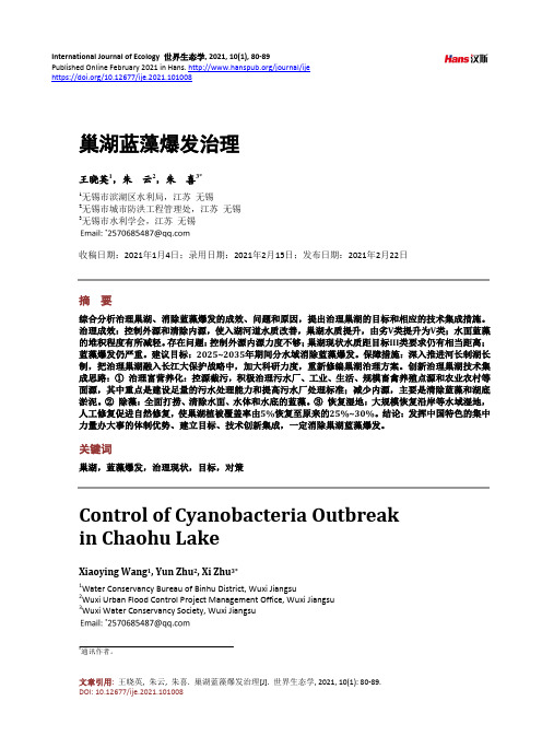 巢湖蓝藻爆发治理