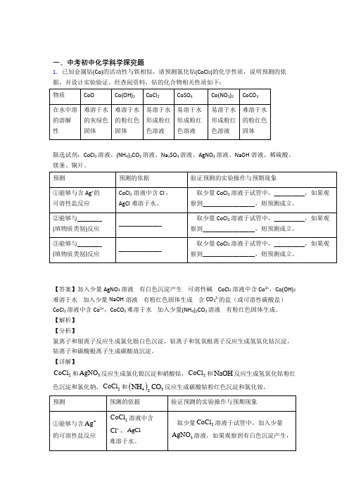 全国中考化学探究题的综合中考模拟和真题分类汇总附答案