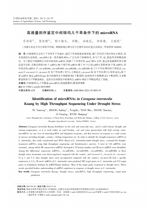 高通量测序鉴定中间锦鸡儿干旱条件下的microRNA