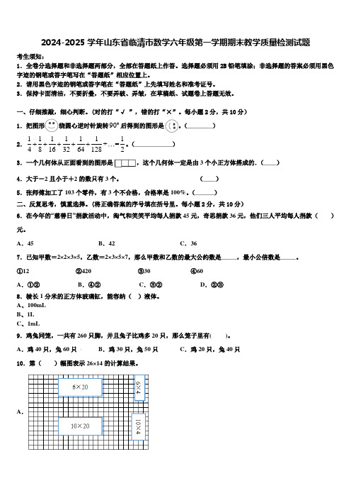 2024-2025学年山东省临清市数学六年级第一学期期末教学质量检测试题含解析