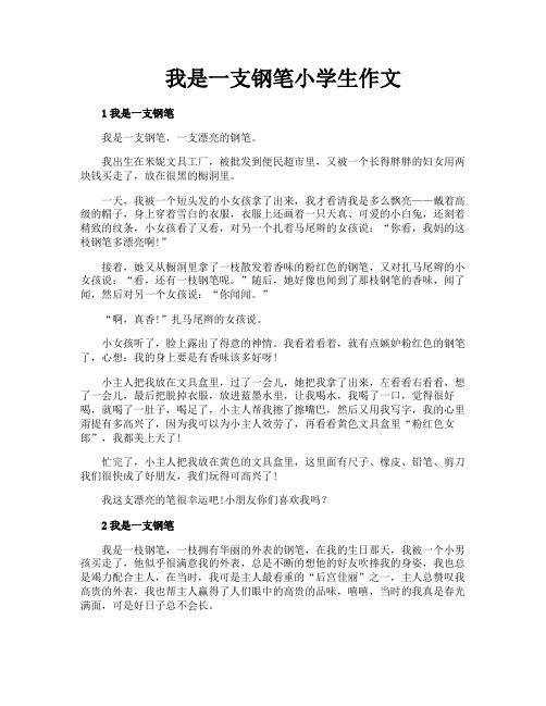 我是一支钢笔小学生作文