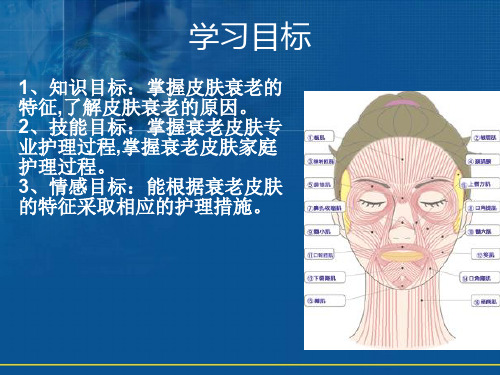 衰老皮肤护理