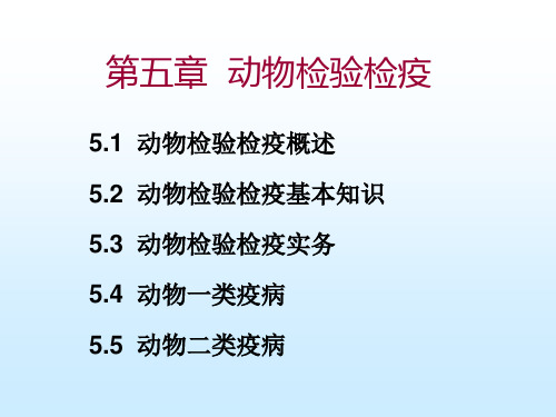 第五章  动物检验检疫