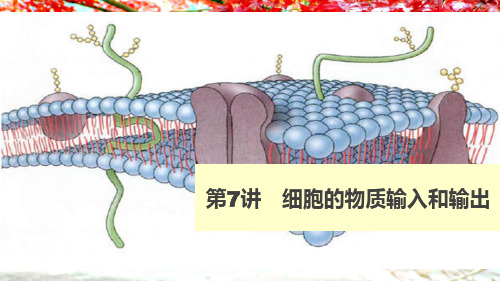 高考生物大一轮复习第7讲细胞的物质输入和输出课件高三全册生物课件