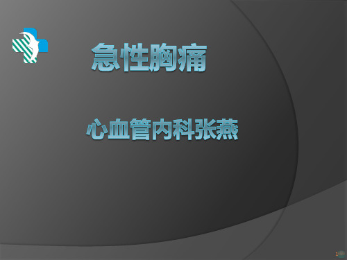 胸痛的PPT课件