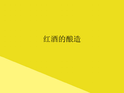 红酒的酿造PPT资料(正式版)