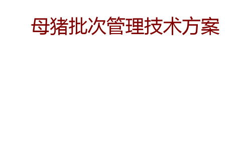 母猪批次管理技术方案