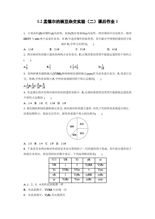 1.2 孟德尔的豌豆杂交实验(二)课后作业  2020—2021学年高一下学期人教版 必修2