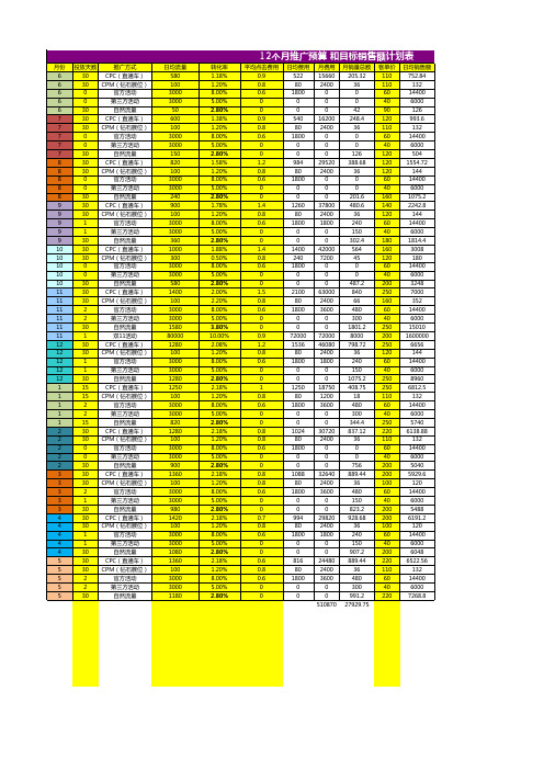 12个月 销售额目标与推广预算计划(510万)