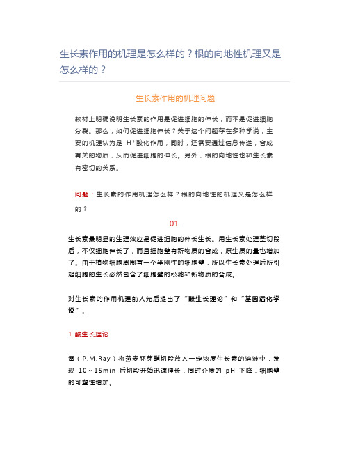 生长素作用的机理是怎么样的？根的向地性机理又是怎么样的？