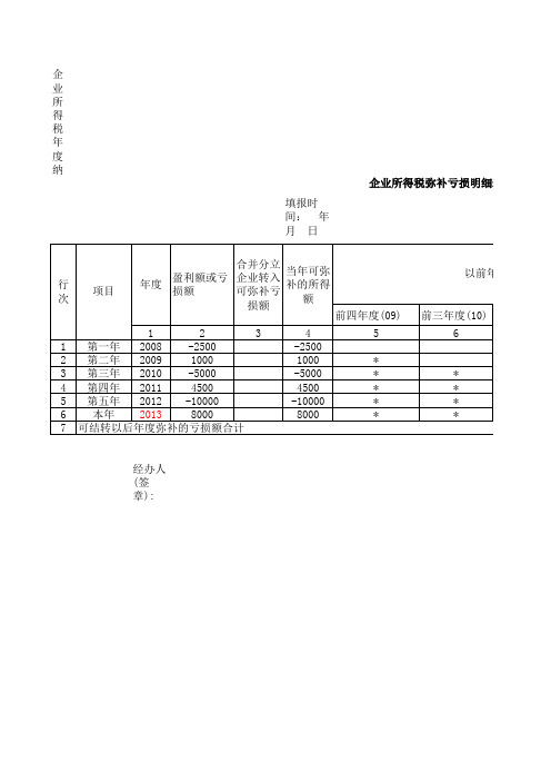 弥补亏损表(2008年版)