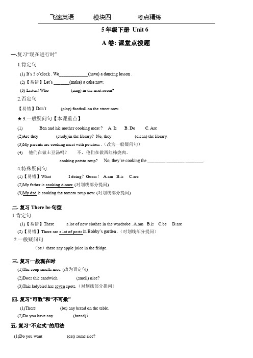 译林英语五下5B U6考点精练