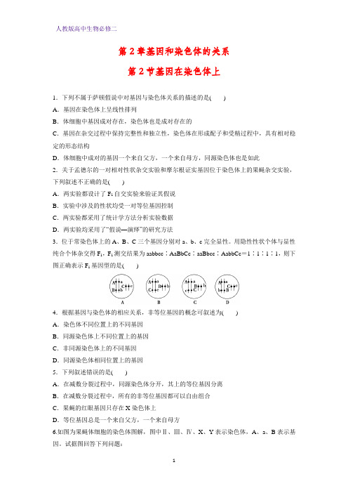 高中生物必修二课时作业11：2.2 基因在染色体上