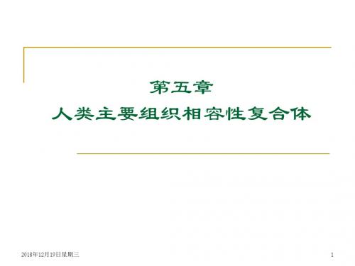 人类主要组织相容性复合体