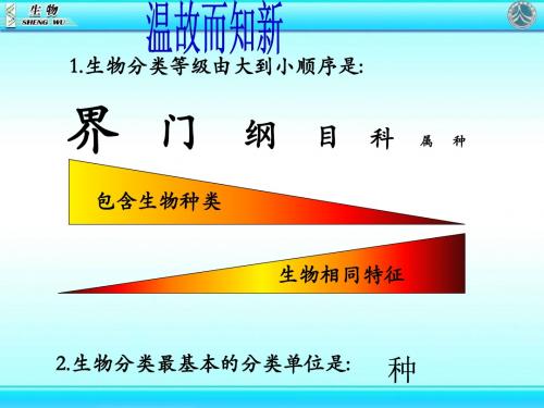 人教版生物八年级上册6.2《认识生物的多样性》课件1