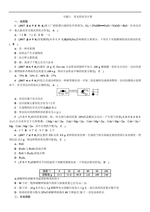 专题6 常见的化学计算