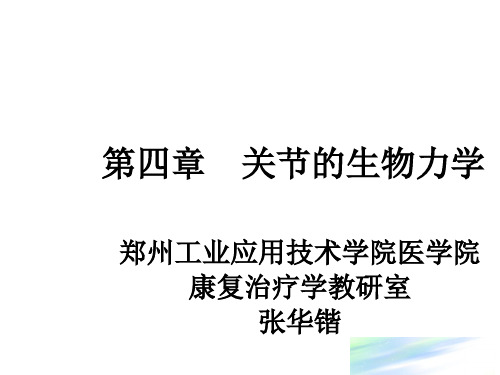 节的生物力学 PPT