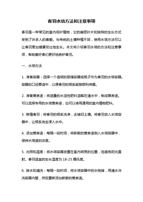 春羽水培方法和注意事项