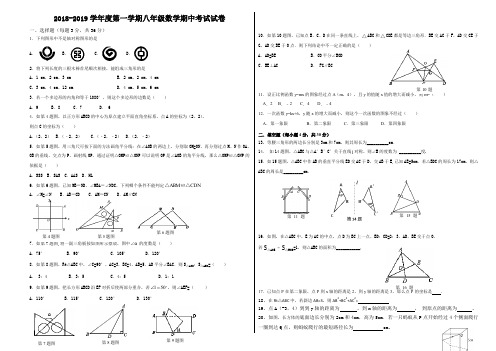 2018-2019学年度人教版第一学期八年级数学期中考试试卷