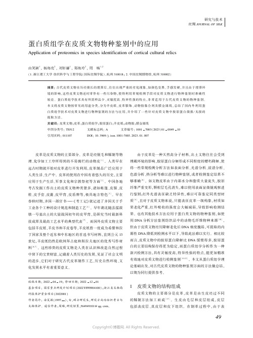 蛋白质组学在皮质文物物种鉴别中的