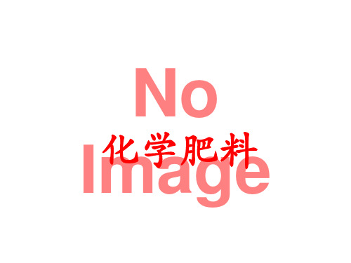 2020-2021学年人教版(五四学制)化学九年级全册 第四单元 课题2 化学肥料 课件