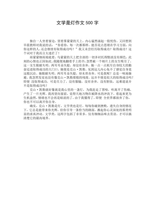文学是灯作文500字