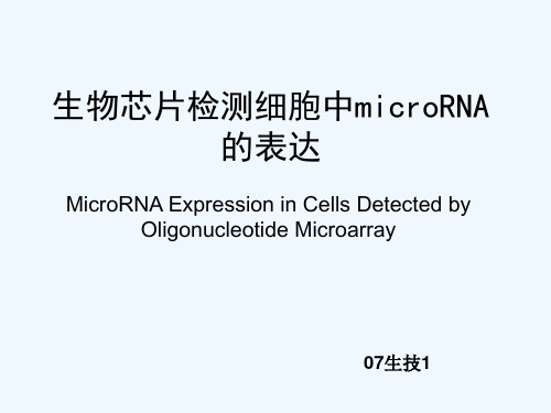 生物芯片应用生物芯片检测细胞中microRNA的表达